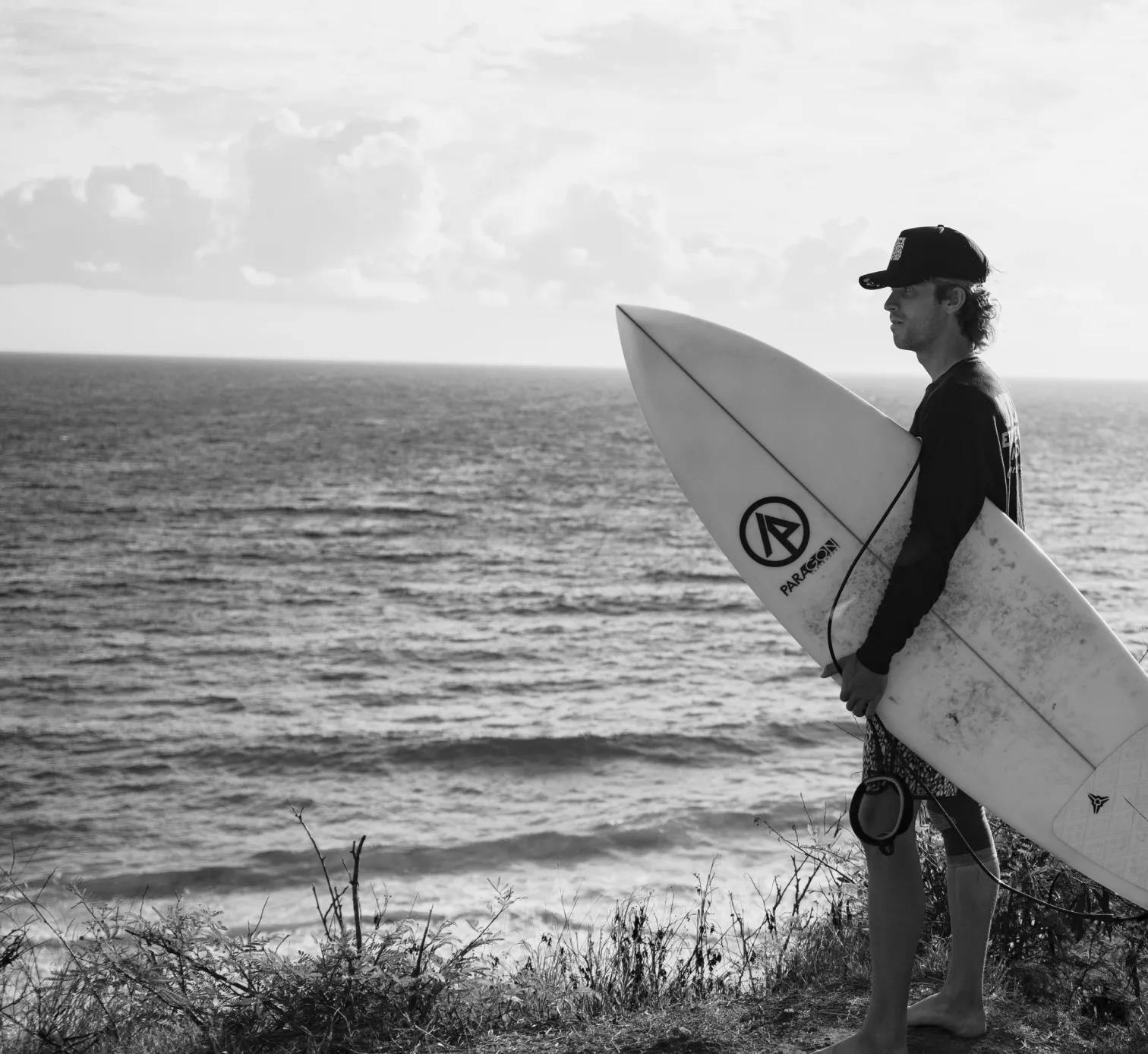 Vidl development project